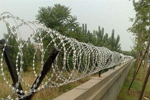 whatsapp image 2025 10 05 at 10.38.32 pm (1)