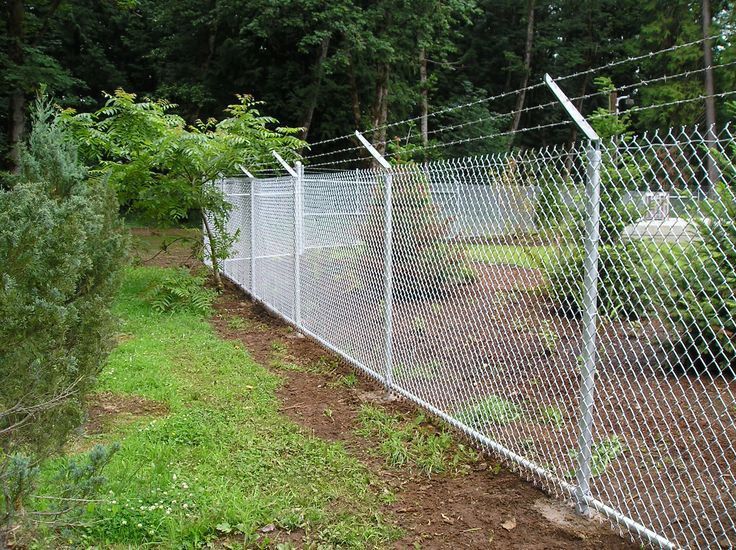 whatsapp image 2025 10 05 at 4.24.07 am