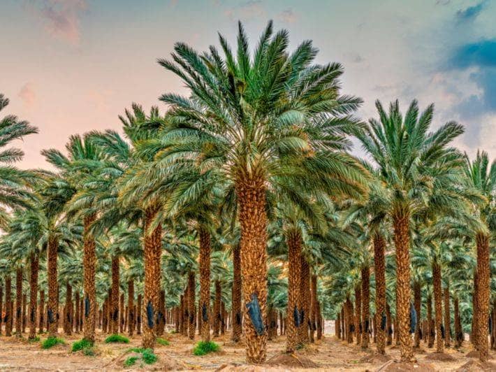 whatsapp image 2025 10 05 at 4.40.05 am