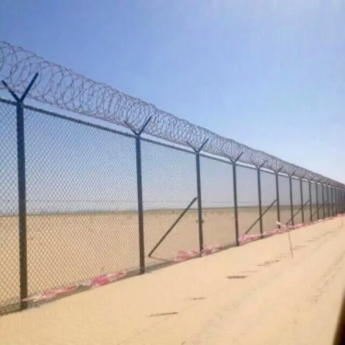 شبوك (2)