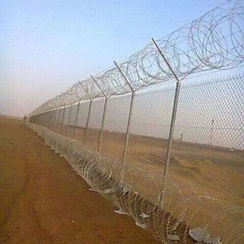 شبوك (24)