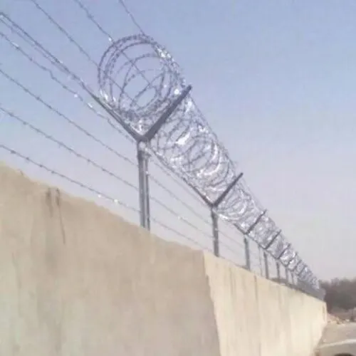 شبوك (5)